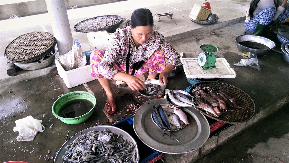 A woman selling fish in a market in the village of Thuy Thanh outside Hue