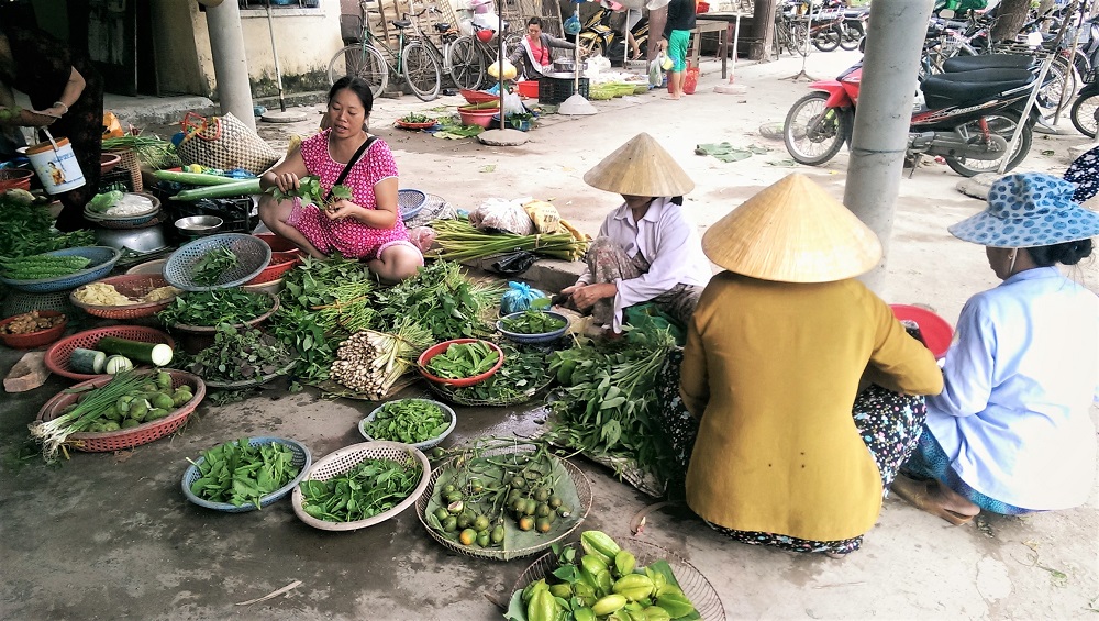 A group of women preparing salad vegetable for sale in the market in the village of Thuy Thanh just outside Hue