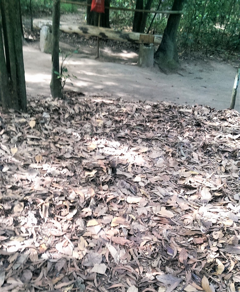 Fallen leaves conceal a hidden entrance to the Cu Chi tunnels