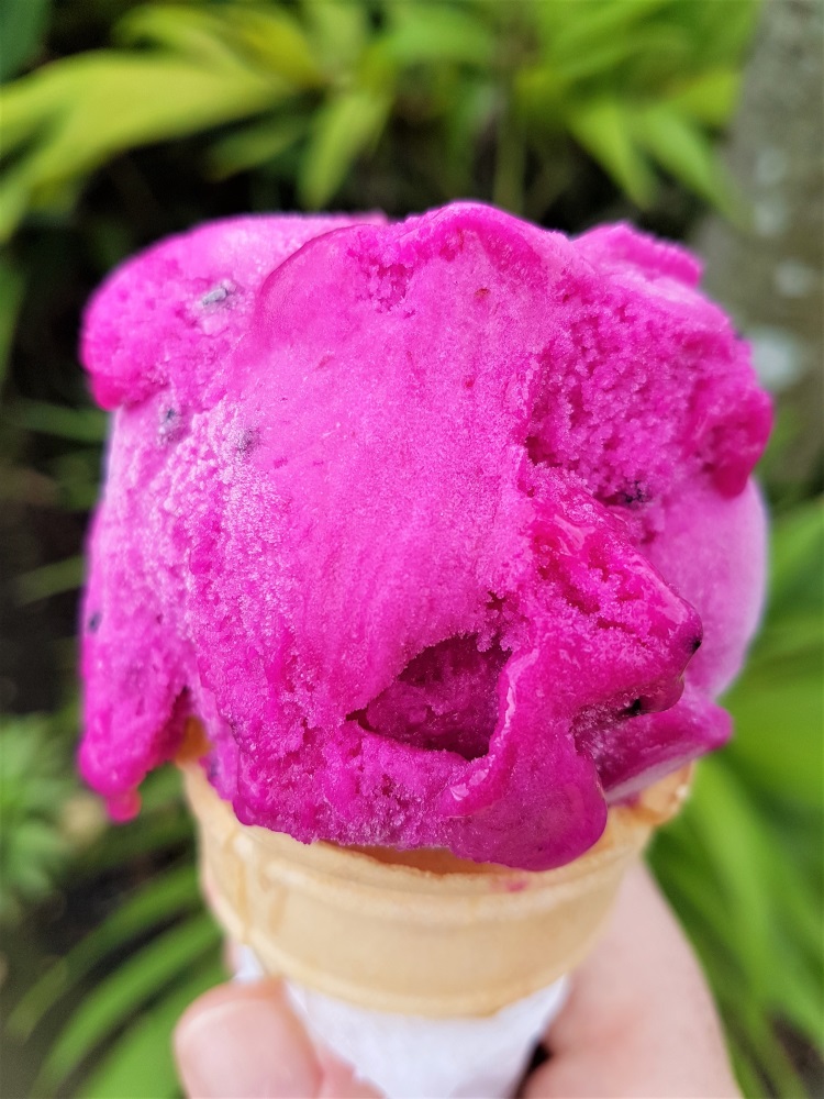 Cactus flower ice cream