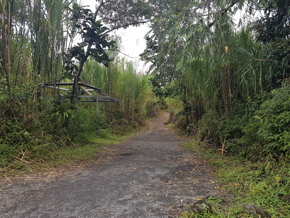 A path through Arenal Volcano National Park
