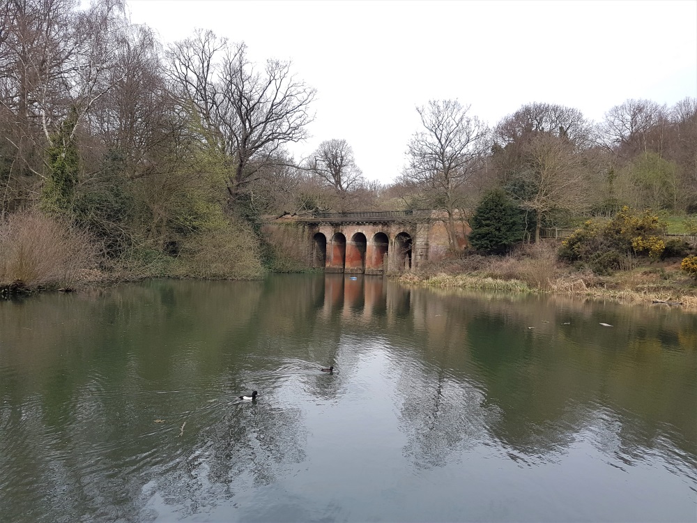 The viaduct ponds on Hampstead Heath