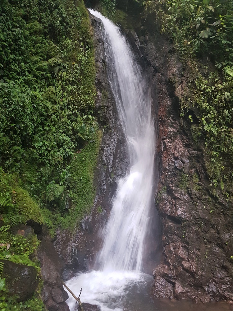 Blue Morpho Waterfall in Mistico Arenal Hanging Bridges Park