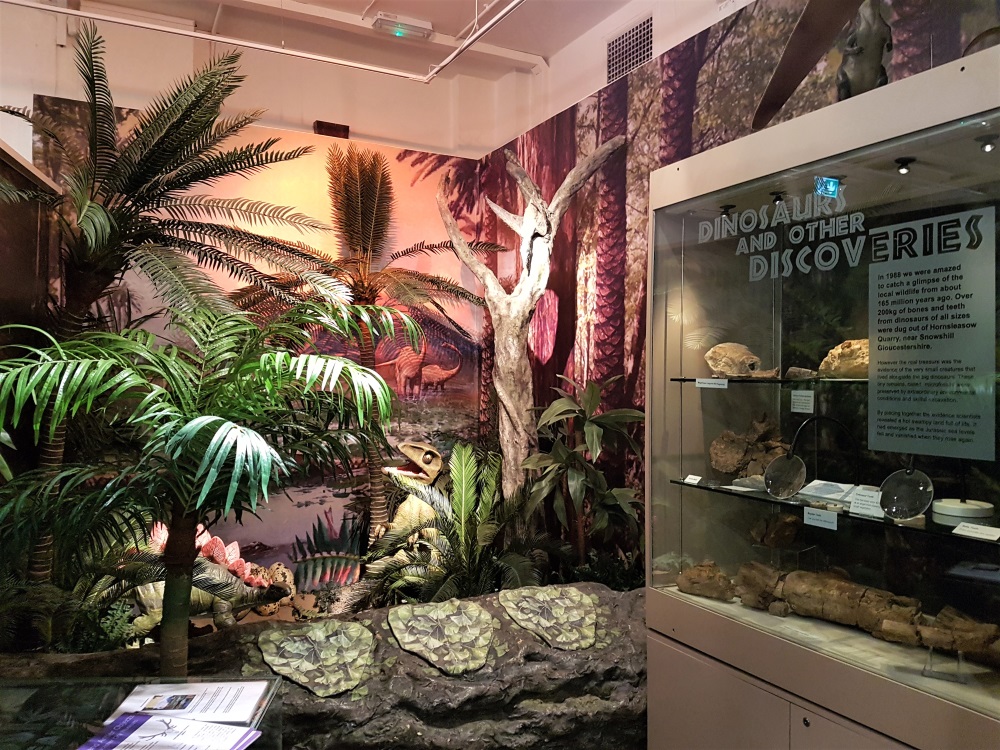 The dinosaur exhibit at the Museum of Gloucester