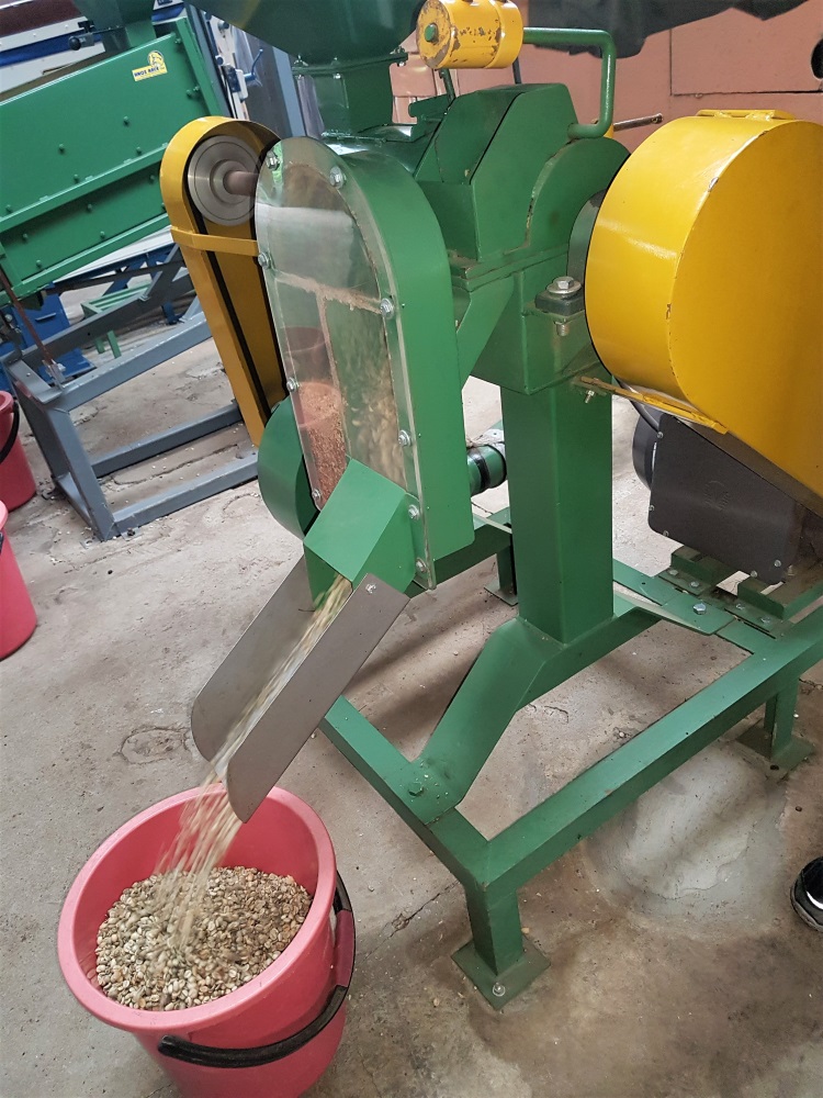 The processed beans come flying out of the machine into a bucket