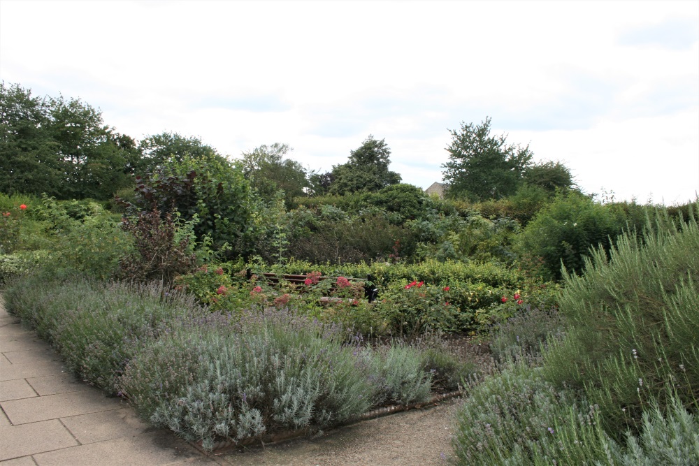 The rose garden in the grounds of Waltham Abbey Church