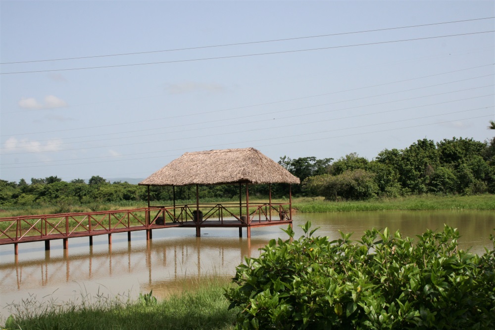 A straw-roofed shelter on stilts over a lake in Cuba