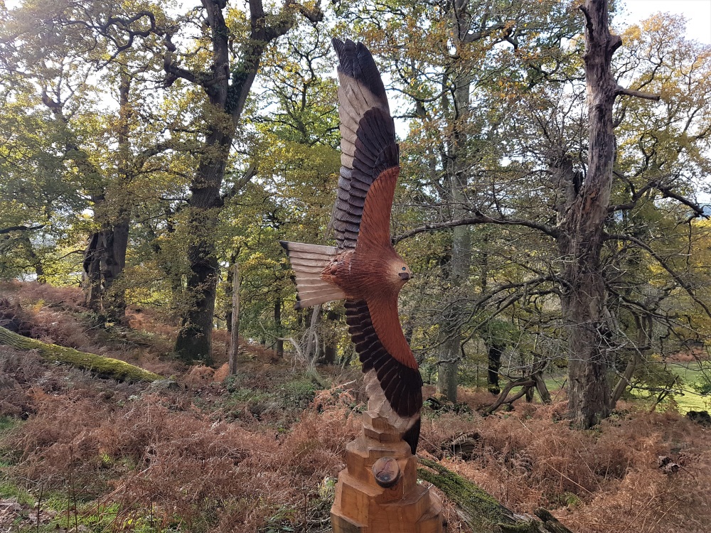 Wooden sculpture of a bird of prey in the deer park at Dinefwr