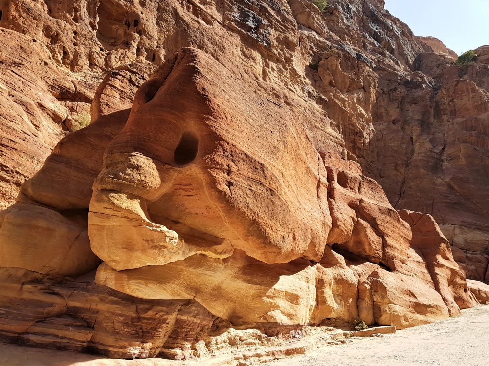 The elephant-shaped rock formation in the Siq in Petra