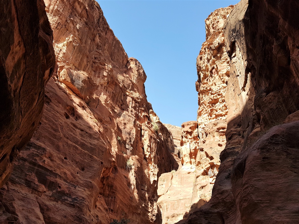 The rose-red rocks of the Siq in Petra
