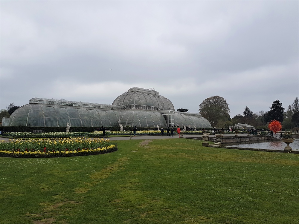 The Palm House at Kew Gardens