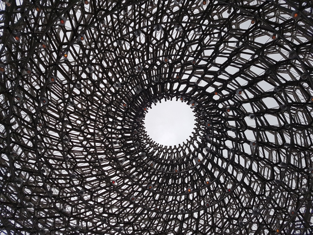 Looking up at the roof of the Hive at Kew Gardens