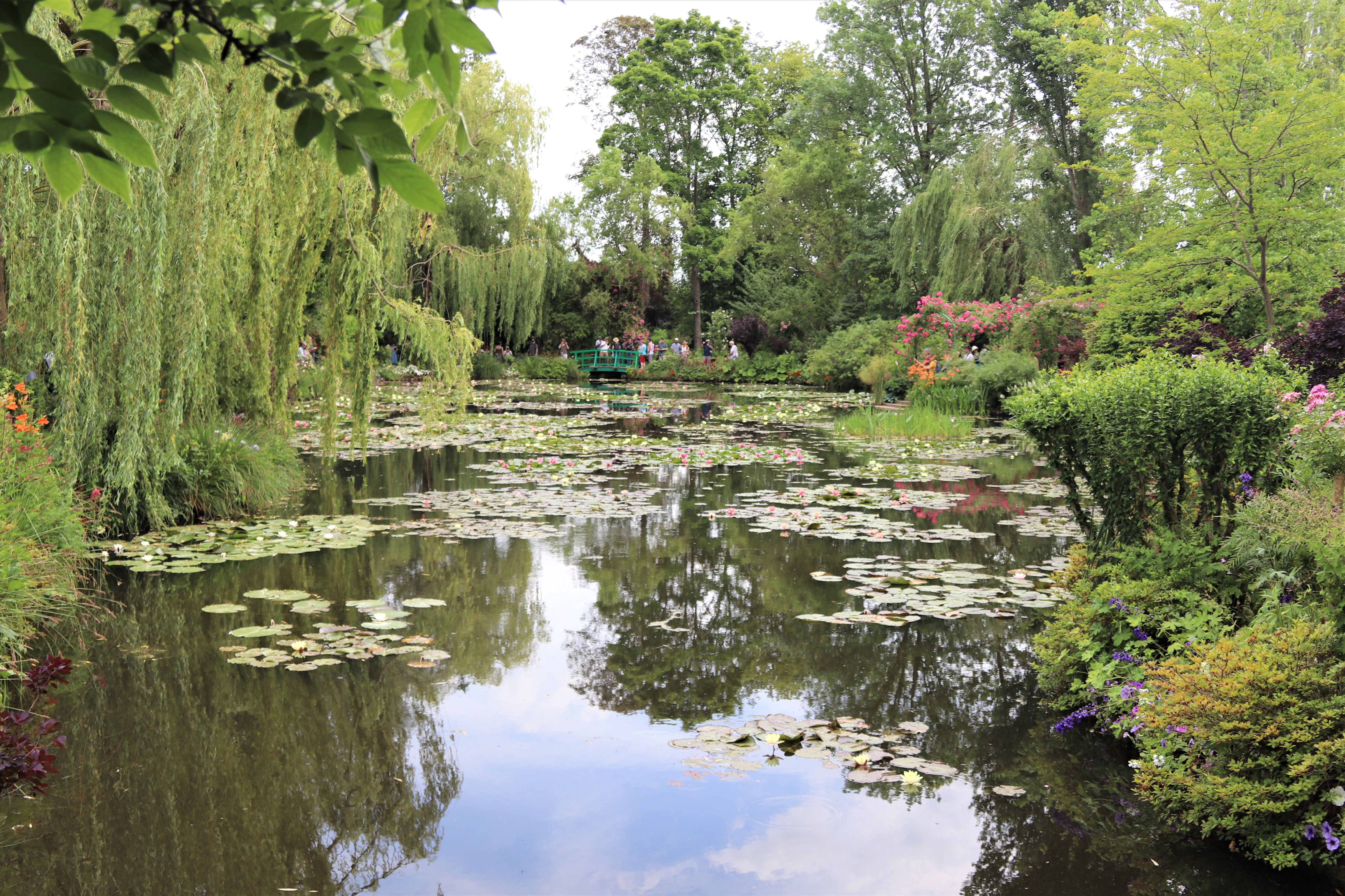 One of two wooden footbridges over the water lily pond in Monet's Japanese garden at Giverny