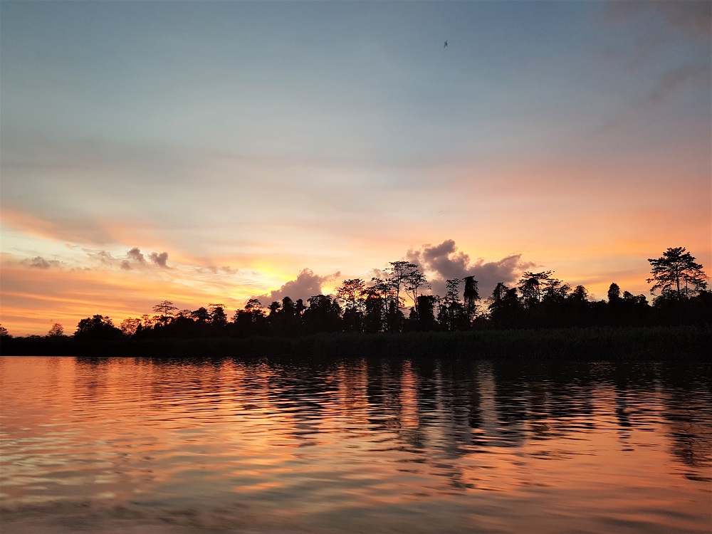 Sunset on the Kinabatangan River in Sabah, Malaysia