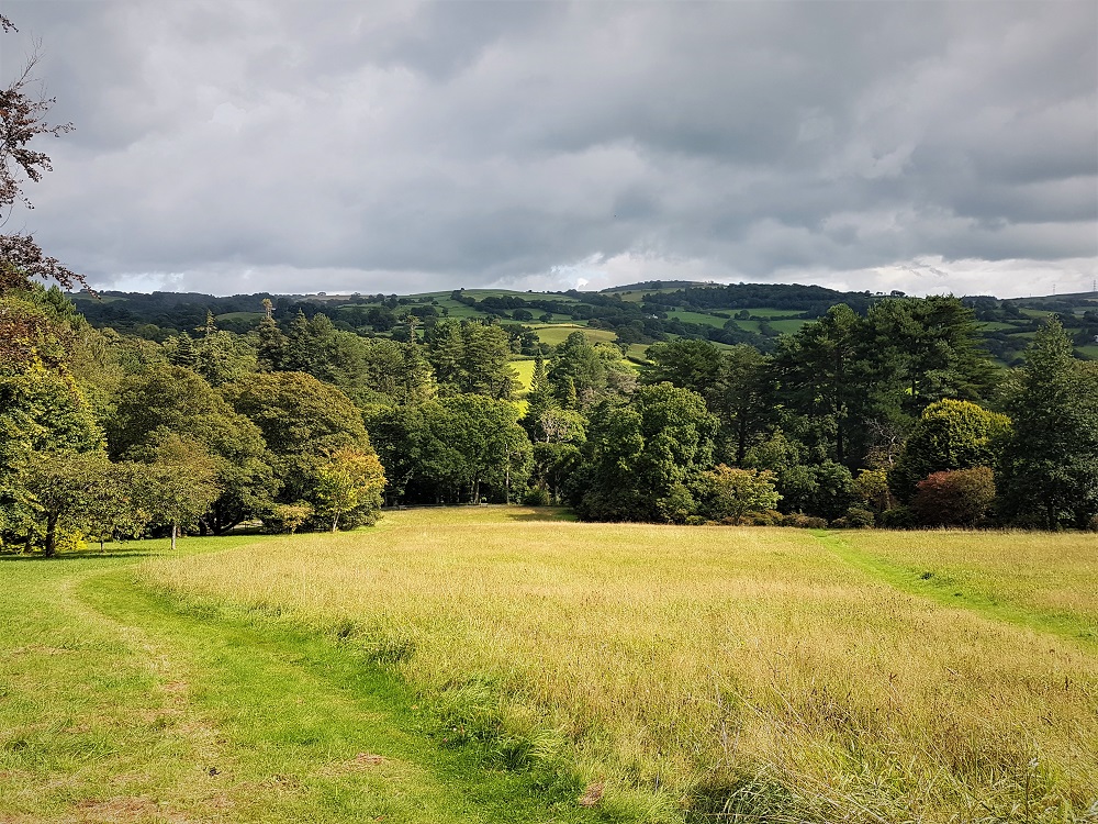 Furnace Meadow at Bodnant Garden