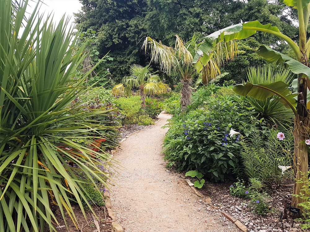 Leafy green plants line the path at Dyffryn Gardens