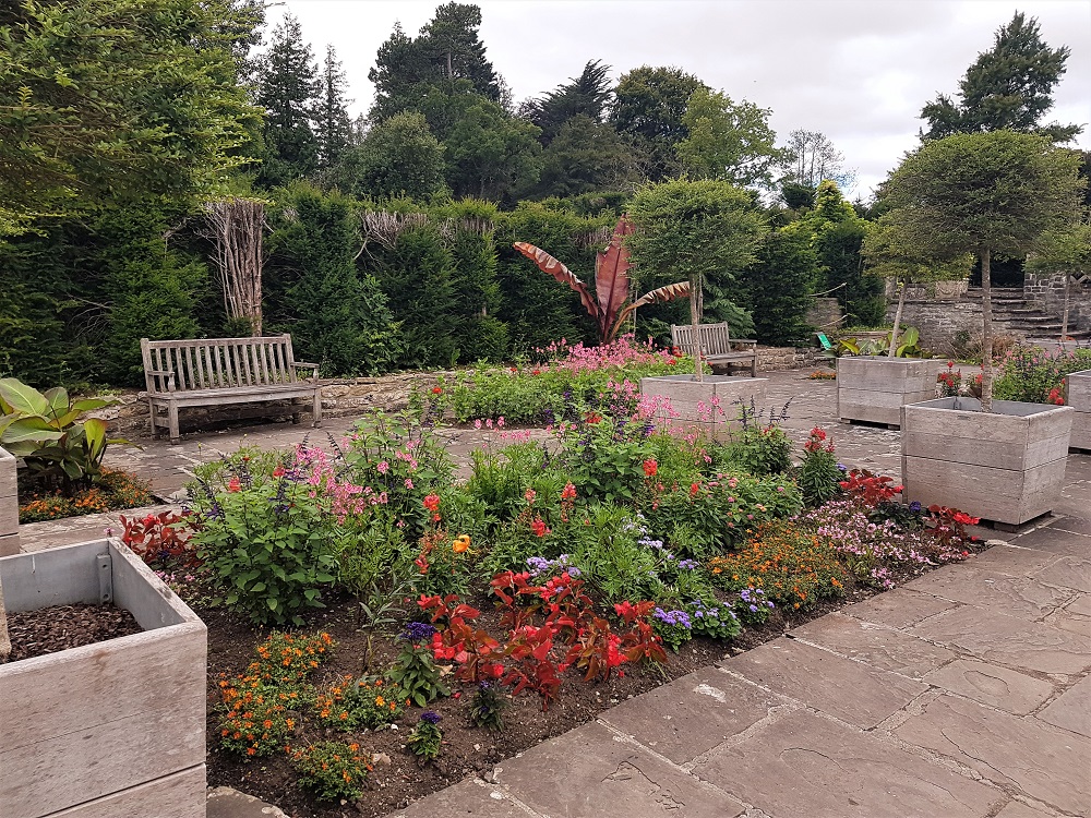 Plants in the Italian Gardens at Dyffryn Gardens