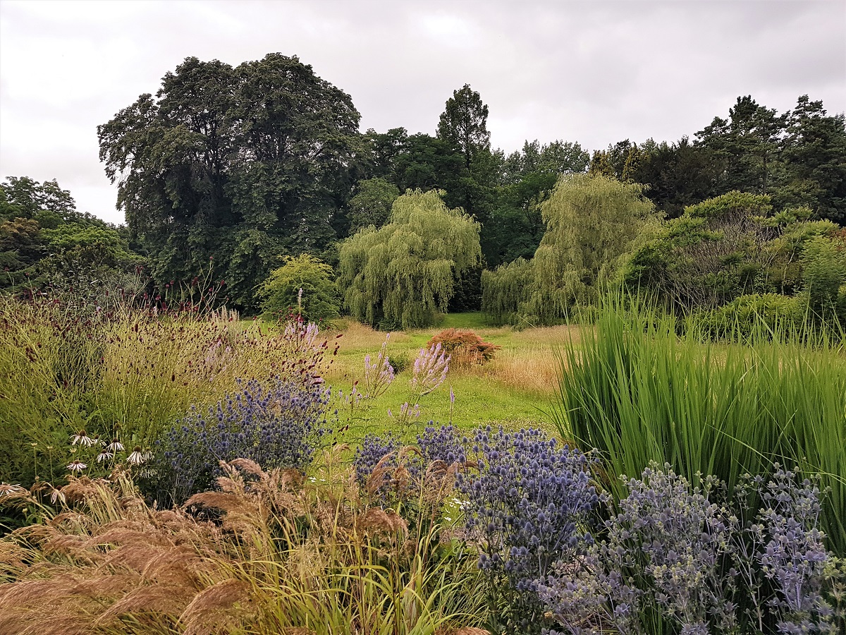 Wildflower meadow at Dyffryn Gardens