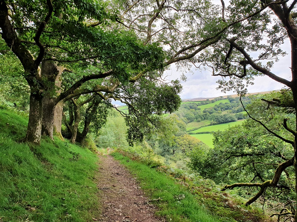 Walking trail near Carreg Cennen Castle