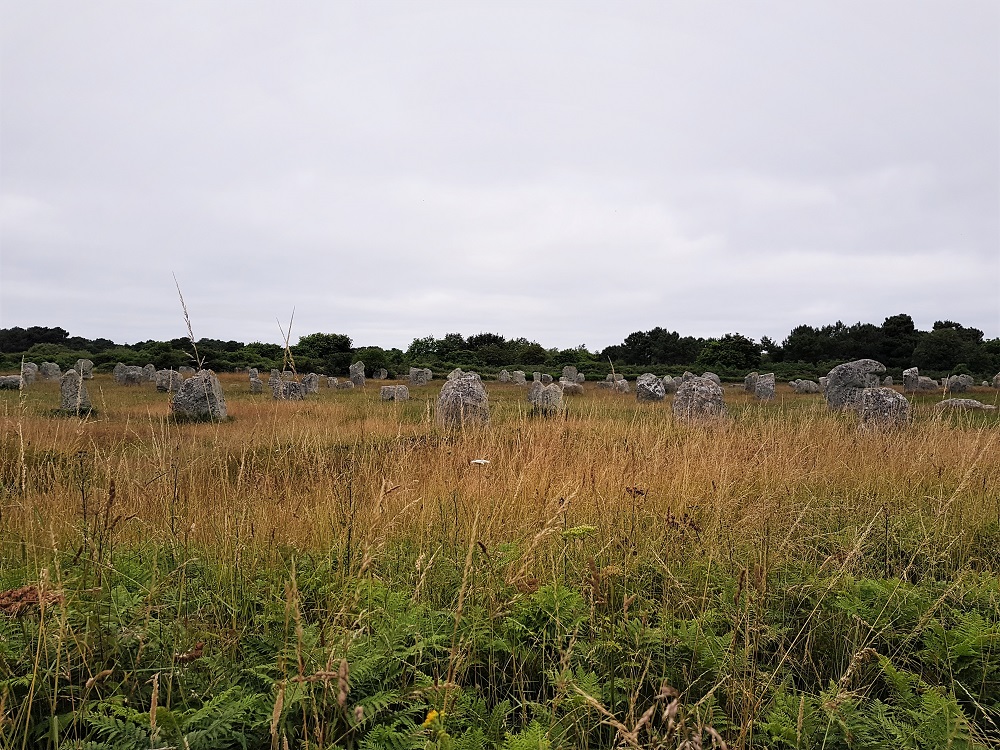 Alignements du Menec