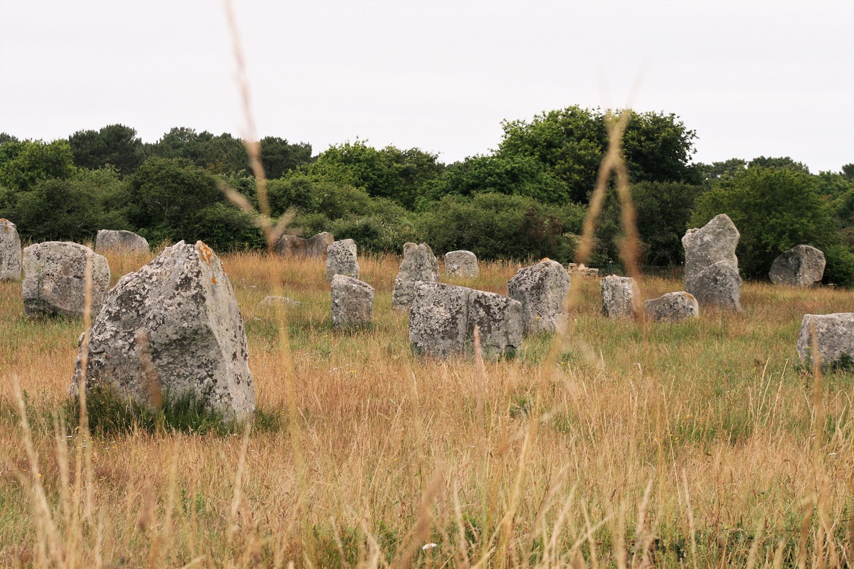 Standing stones at the Alignements du Ménec
