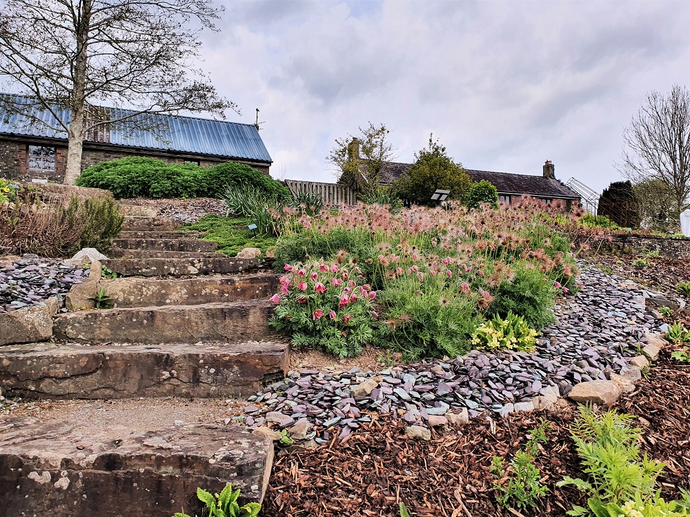 Apothecary's garden at the National Botanic Garden of Wales