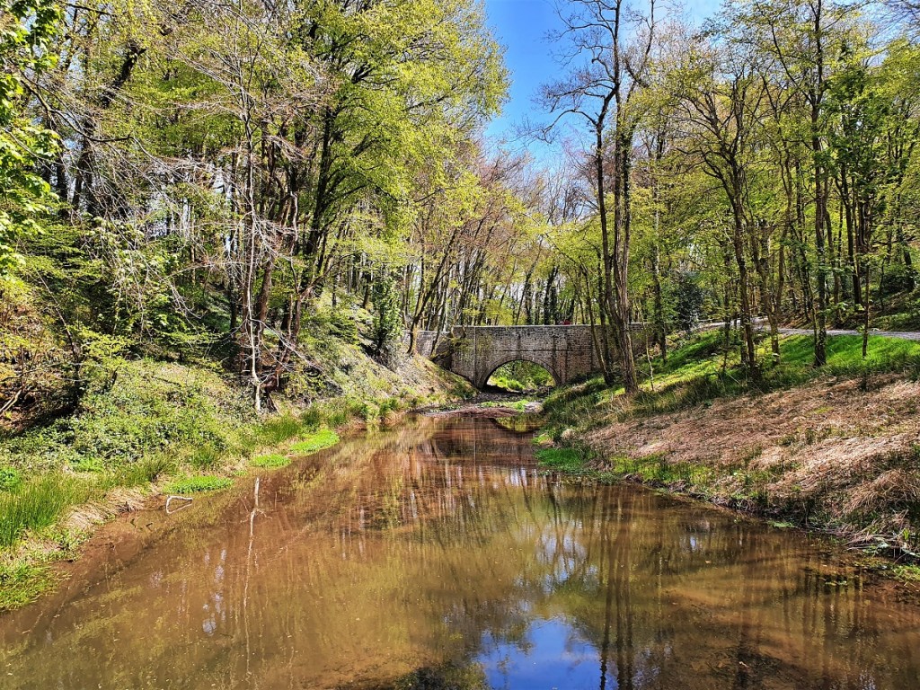 Bridge near the waterfall, The National Botanic Garden of Wales