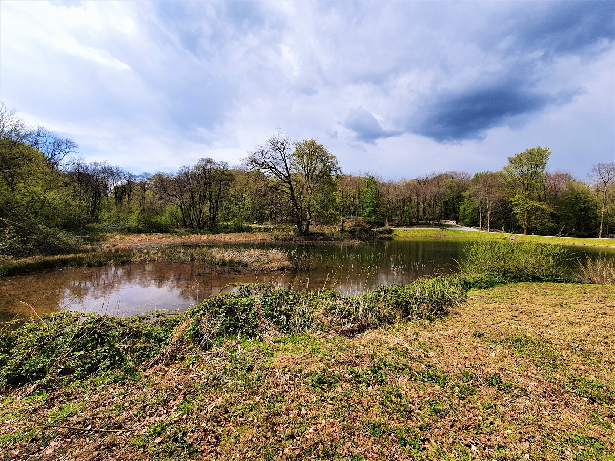 Lake near the old mill, National Botanic Garden of Wales