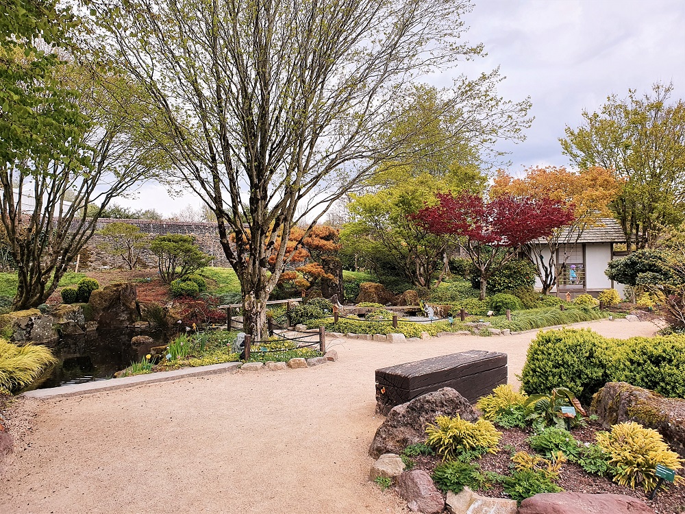 Japanese garden at the National Botanic Garden of Wales