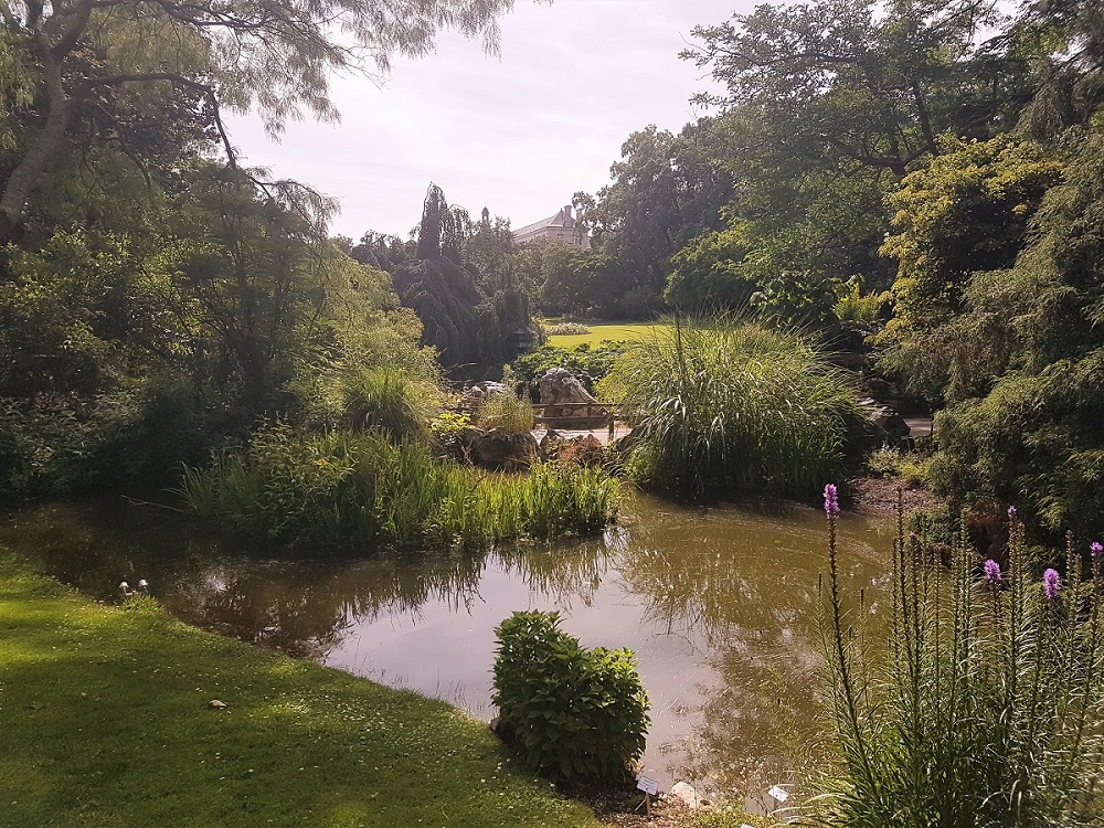 Lake at the Jardin des Plantes