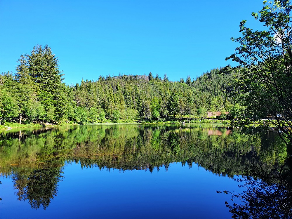 Skomakerdiket Lake on Mount Fløyen