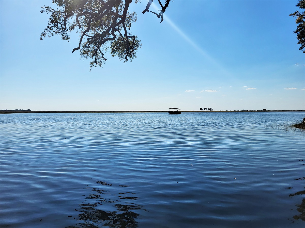 Chobe River cruise