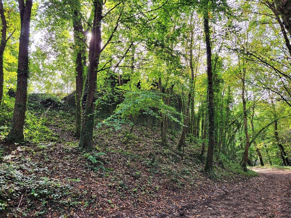Candleston Castle hidden by the woods