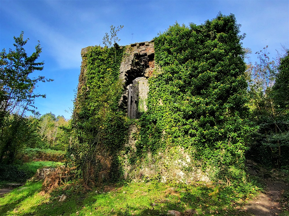 Ivy-covered Candleston Castle