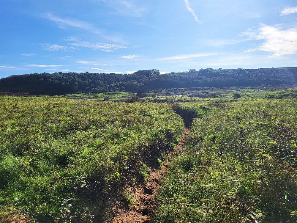 Path to the River Ogmore