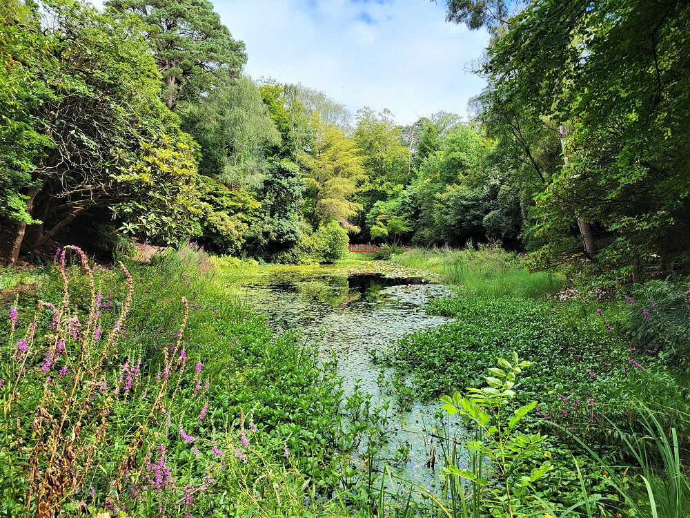 Portmeirion lake