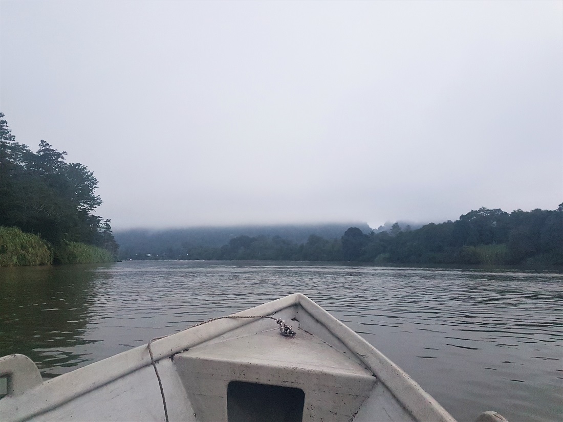 Boat ride on the Kinabatangan River