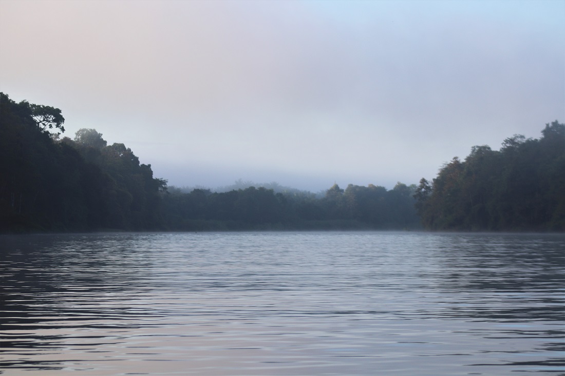 Rain falls on the Kinabatangan River