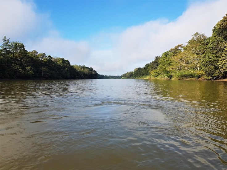 Kinabatangan River in Borneo