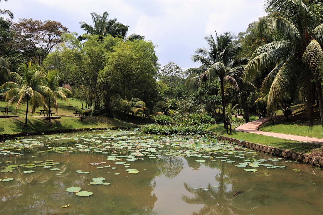 Lake in Perdana Botanical Garden