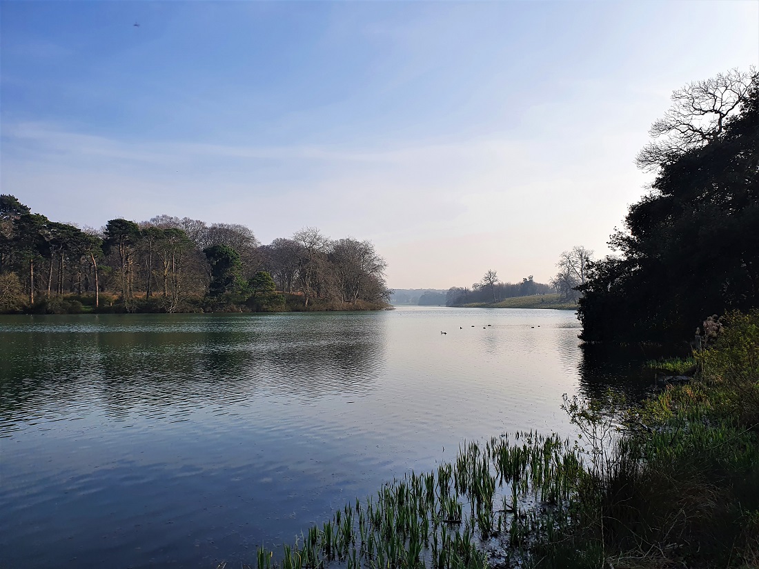 40 Castles in the US to Live Your Best Fairytale Life – There She Goes Again, image size:1100x825