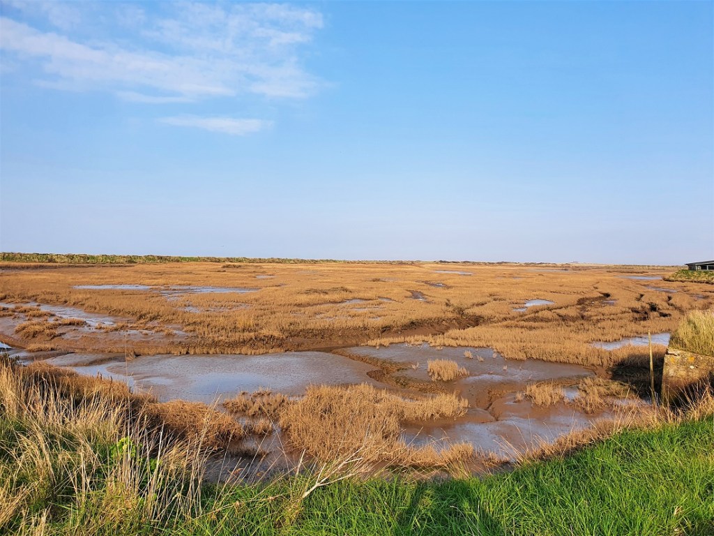 Volunteer Marsh at RSPB Titchwell Marsh