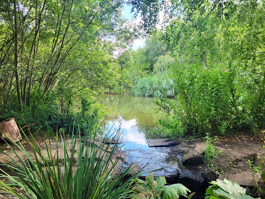Isabella Plantation at Richmond Park