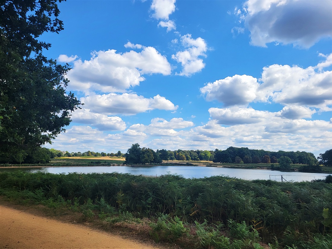 Pen Ponds at Richmond Park