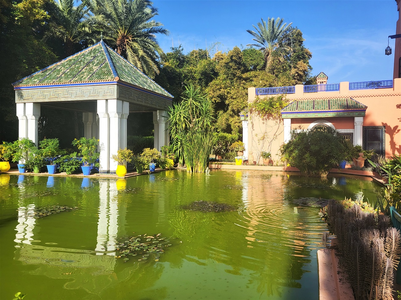 Pool in the Jardin Majorelle