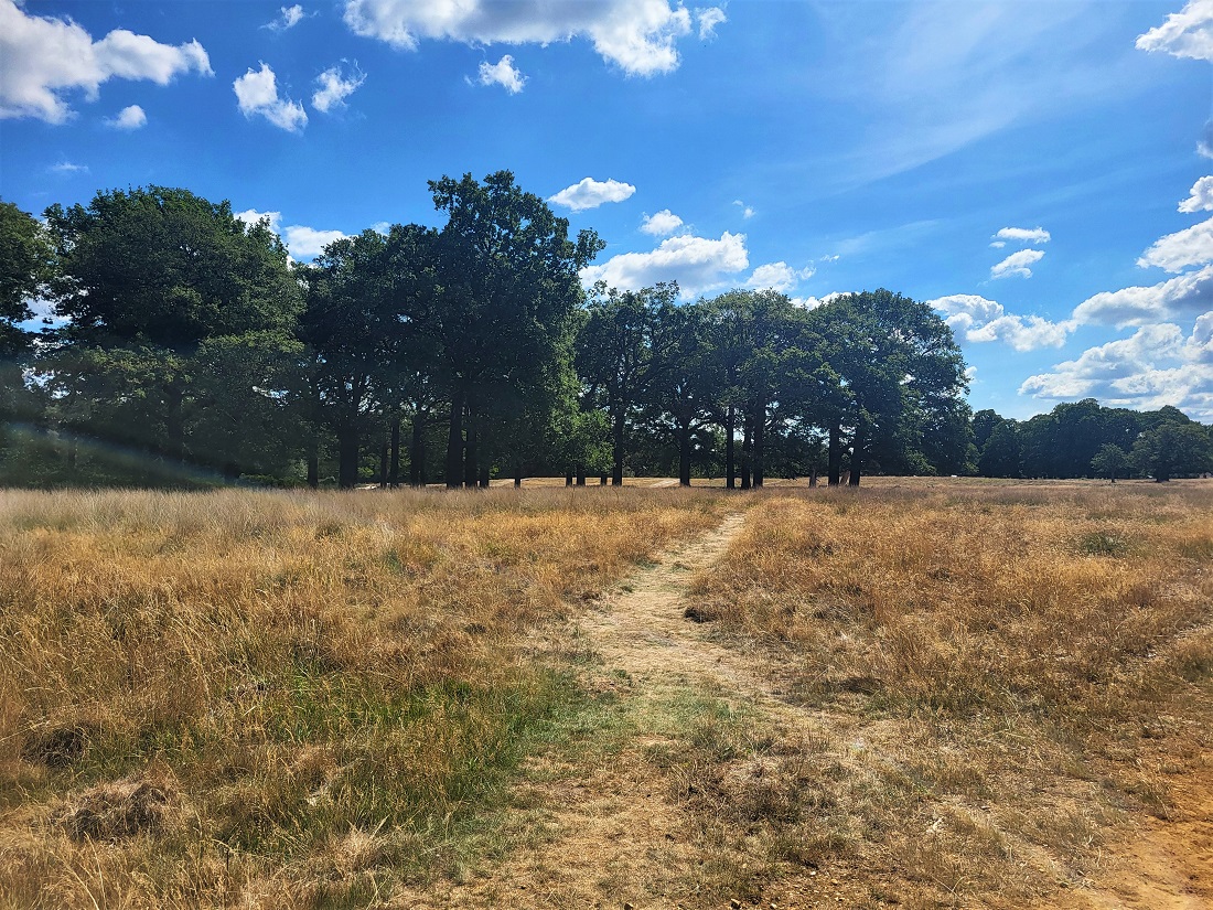 Richmond Park