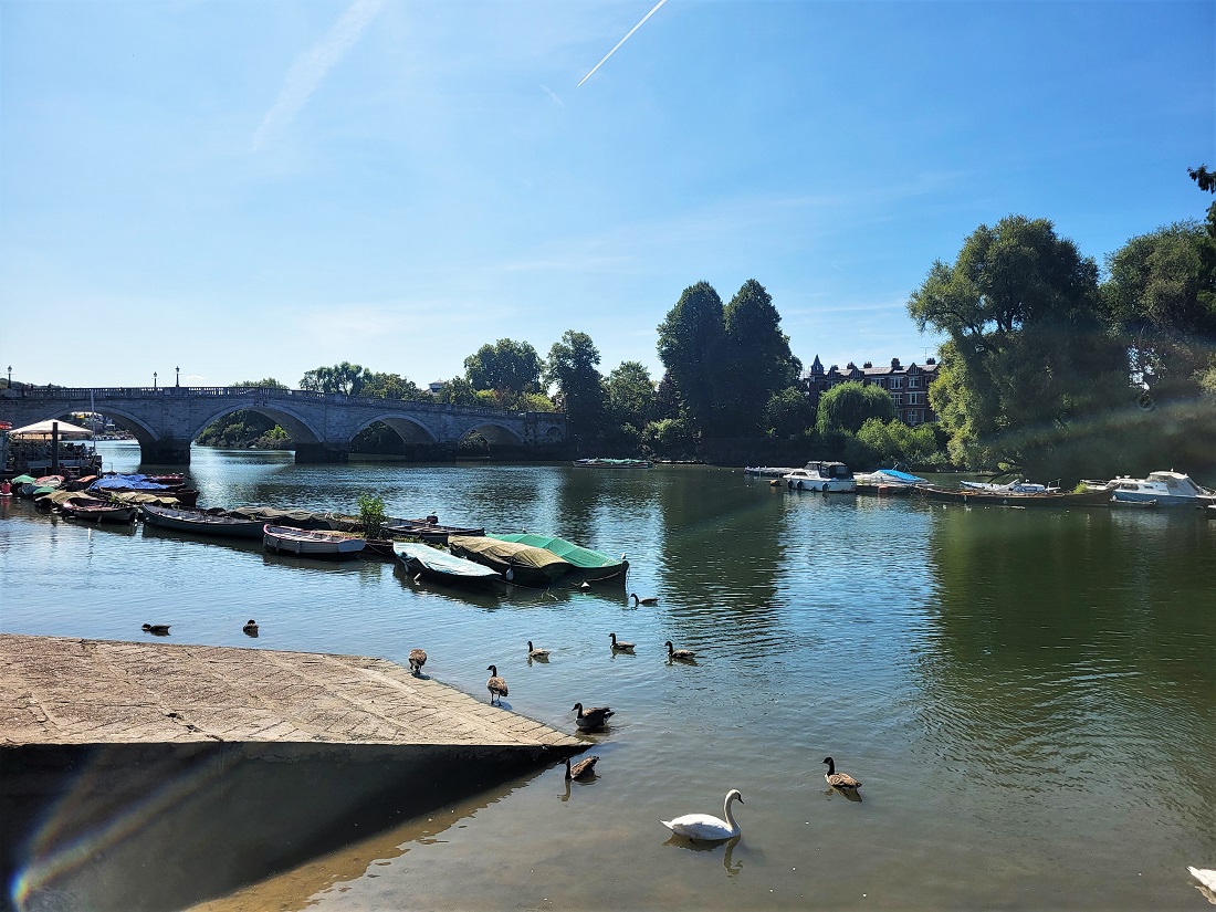 River Thames at Richmond