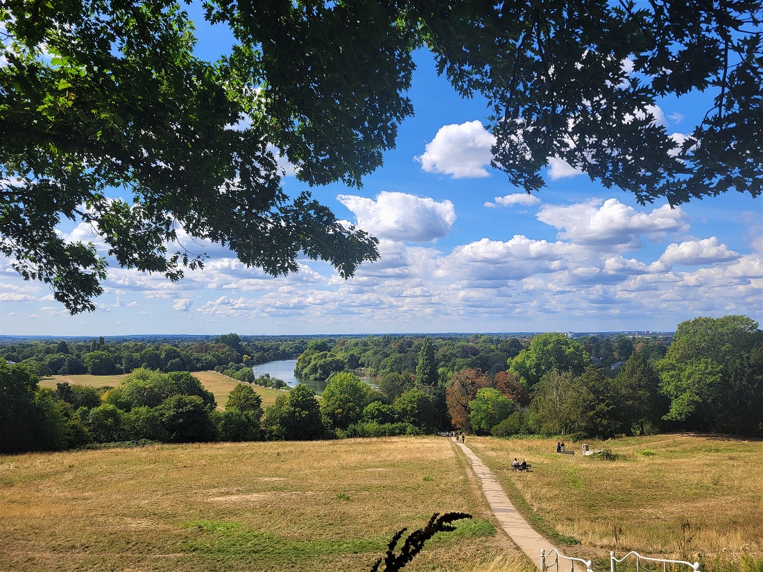 Terrace Field in Richmond